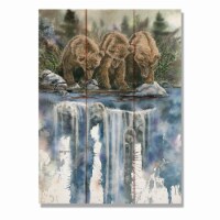 Day Dream DBLLS1115 11 x 15 in. Bartholets Looks Like Sockeye to Me Wall Art