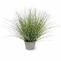 Boston International Zebra Grass - Dark Perspective: Main