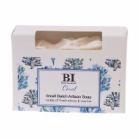 Boston International Coral Small Batch Artisan Soap Perspective: Main