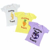Tees Short Sleeve - Infant Tees Organically Growing 3 Pack 1 Carrot, 1 Plum, 1 Banana