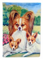 Carolines Treasures 7042GF Papillon A Momma's Love Garden Flag