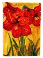 Carolines Treasures 6067CHF Flower - Amaryllis House Flag