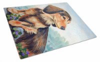 Long Hair Chocolate and Cream Dachshund Glass Cutting Board Large