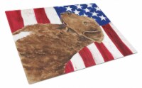 USA American Flag with Curly Coated Retriever Glass Cutting Board Large