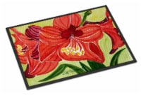 Carolines Treasures 6055JMAT Flower - Amaryllis Doormat 24x36