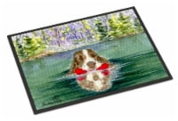 Carolines Treasures SS8943JMAT Springer Spaniel Doormat 24x36