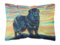 Carolines Treasures 7518PW1216 Newfoundland Canvas Fabric Decorative Pillow