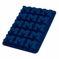 Michigan Ice Tray