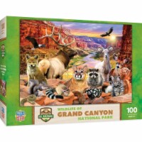 Grand Canyon National Park 100 pc