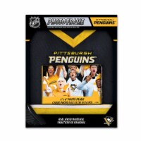 Pittsburgh Penguins Frame