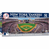 MasterPieces Sports Panoramic Puzzle - MLB New York Yankees Center View