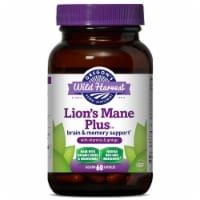 Oregon's Wild Harvest® Lion's Mane Plus Brain & Memory Support Perspective: Main