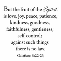VWAQ But the Fruits of the Spirit Wall Quotes Decal Galatians