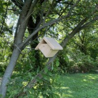 Premium Bird Houses Outside Hanging Carolina Wren House, 7.5  x 7.5  x 7.5