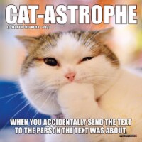 Willow Creek Press 2023 Cat-Astrophe Mini Calendar Perspective: Main