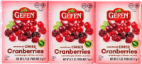 Gefen® Dried Cranberries Sweet Perspective: Main