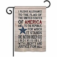 Breeze Decor BD-PA-G-111085-IP-BO-D-US18-SB 13 x 18.5 in. Pledge of Allegiance Americana Patr