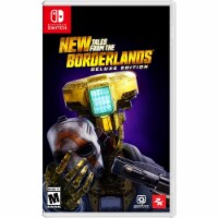 New Tales From The Borderlands: Deluxe Edition NSW Perspective: Main