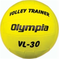 Olympia Sports BA502P Champion Sports VL30 Sof-Train 31 in. Volleyball