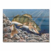 Day Dream DBWA2014 20 x 14 in. Bartholets Walleye Wall Art