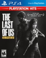 The Last Of Us Remastered (PlayStation 4) Perspective: Main