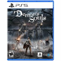 Demon's Souls (PlayStation 5) Perspective: Main
