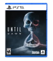 PS5® Until Dawn™ Game Perspective: Main