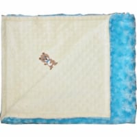 Lil Cub Hub 4BSYDTR-M Boy Bear Minky Blanket - Yellow Dot with Turquoise Rosebud Swirl