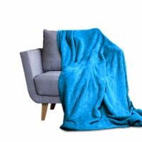 Lux Decor Collection Throw Size Fleece Bed Blanket Soft Microfiber (50x60, Blue)