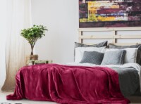 Lux Decor Collection Twin Fleece Blanket Super Soft Plush Microfiber (60 x 80, Red)