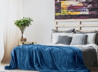 Lux Decor Collection Twin Fleece Blanket Super Soft Microfiber (60 x 80, Navy Blue)