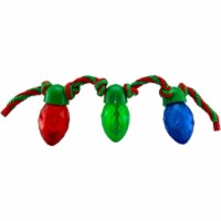Petsport Holiday Lights O