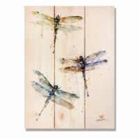 Day Dream DCTD1115 11 x 15 in. Three Dragonflies Wall Art