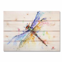 Day Dream DCPD2014 20 x 14 in. Pond Dragonfly Wall Art
