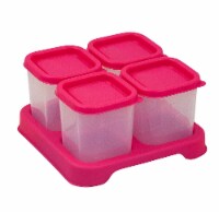 Green Sprouts  Fresh Baby Food Unbreakable Cubes Pink