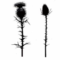 Lavinia Stamps - Thistles