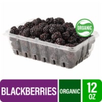 Fresh Organic Blackberries Perspective: Main