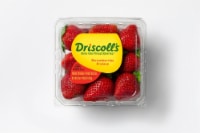 Driscoll's® Fresh Strawberries Perspective: Main