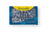 Driscoll's® Sweetest Batch Blueberries Fresh Blueberries Extra Sweet Conventional Perspective: Main
