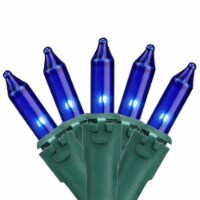 Brite Star 100-Count Blue Mini Christmas Lights, 49.6ft Green Wire