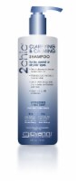 2chic Clarifying & Calming Shampoo