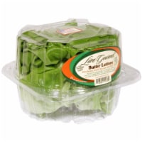 Live Gourmet Butter Lettuce