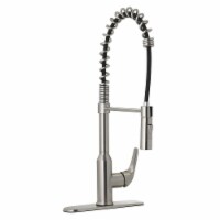 Jones Stephens 1559073 Stainless Steel Transitional Spring Neck Pull-Down Kitchen Faucet