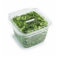 Chopped Cilantro