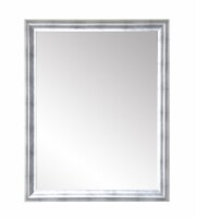 Modern Brushed Silver Accent Mirror