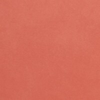 Core'dinations Core Foundations Cardstock 12"X12"-Peach 2