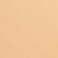 Core'dinations Core Foundations Cardstock 12"X12"-Peach 1