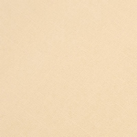 Core'dinations Core Foundations Cardstock 12"X12"-Frappuccino