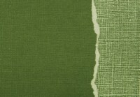 Core'dinations Sandable Cardstock 12"X12"-Forest