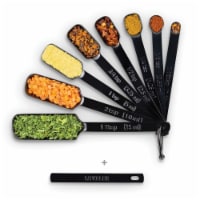 2 Lb Depot Black Measuring Spoons Set (9 Pcs) w/ Bonus Leveler